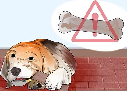 кости для собак